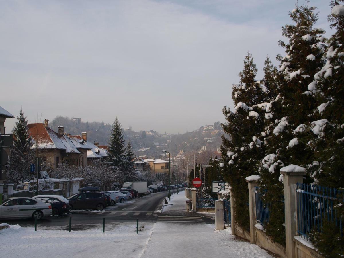 Daly 1 Apartament Brașov