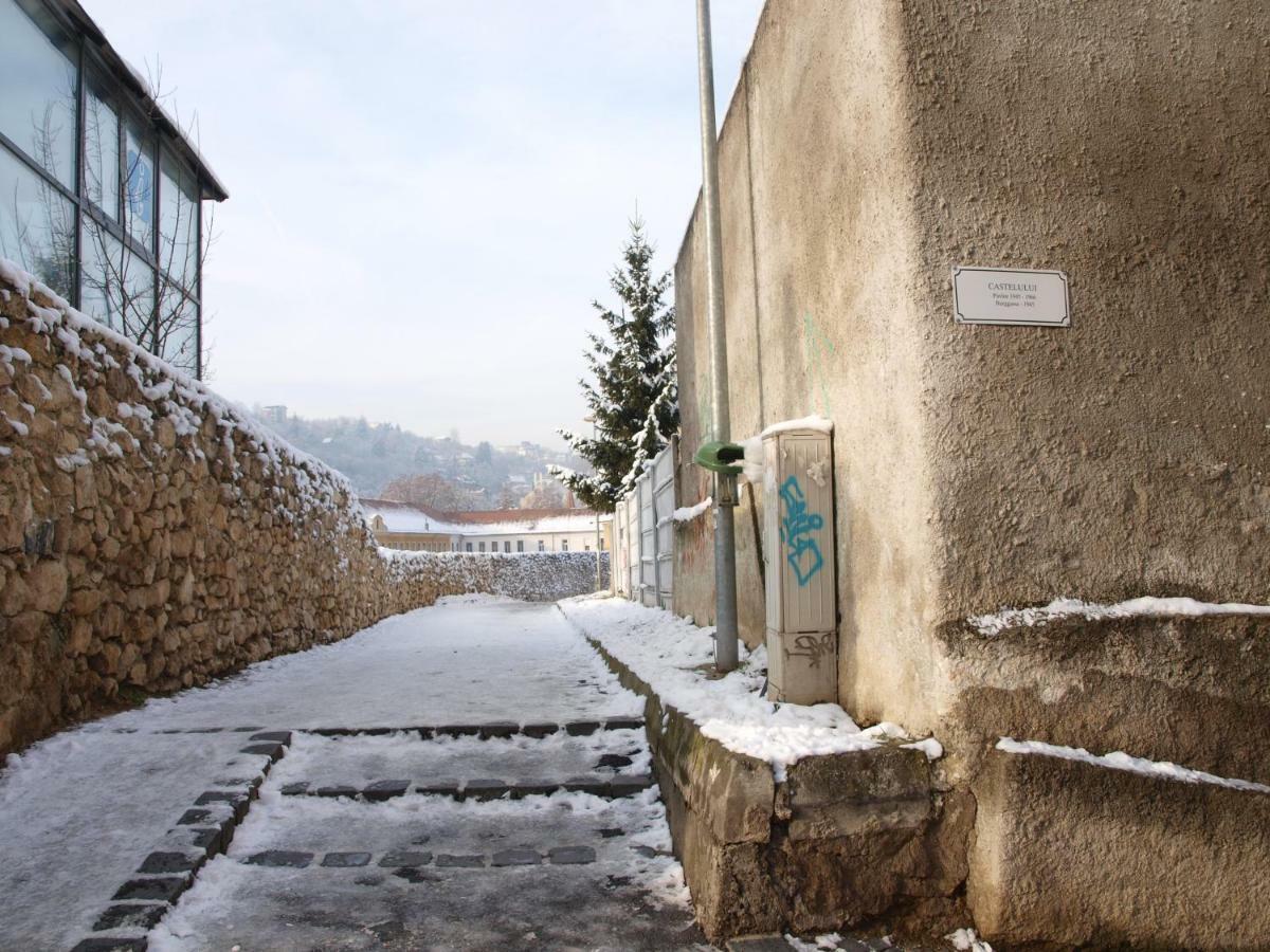 Daly 1 Brașov